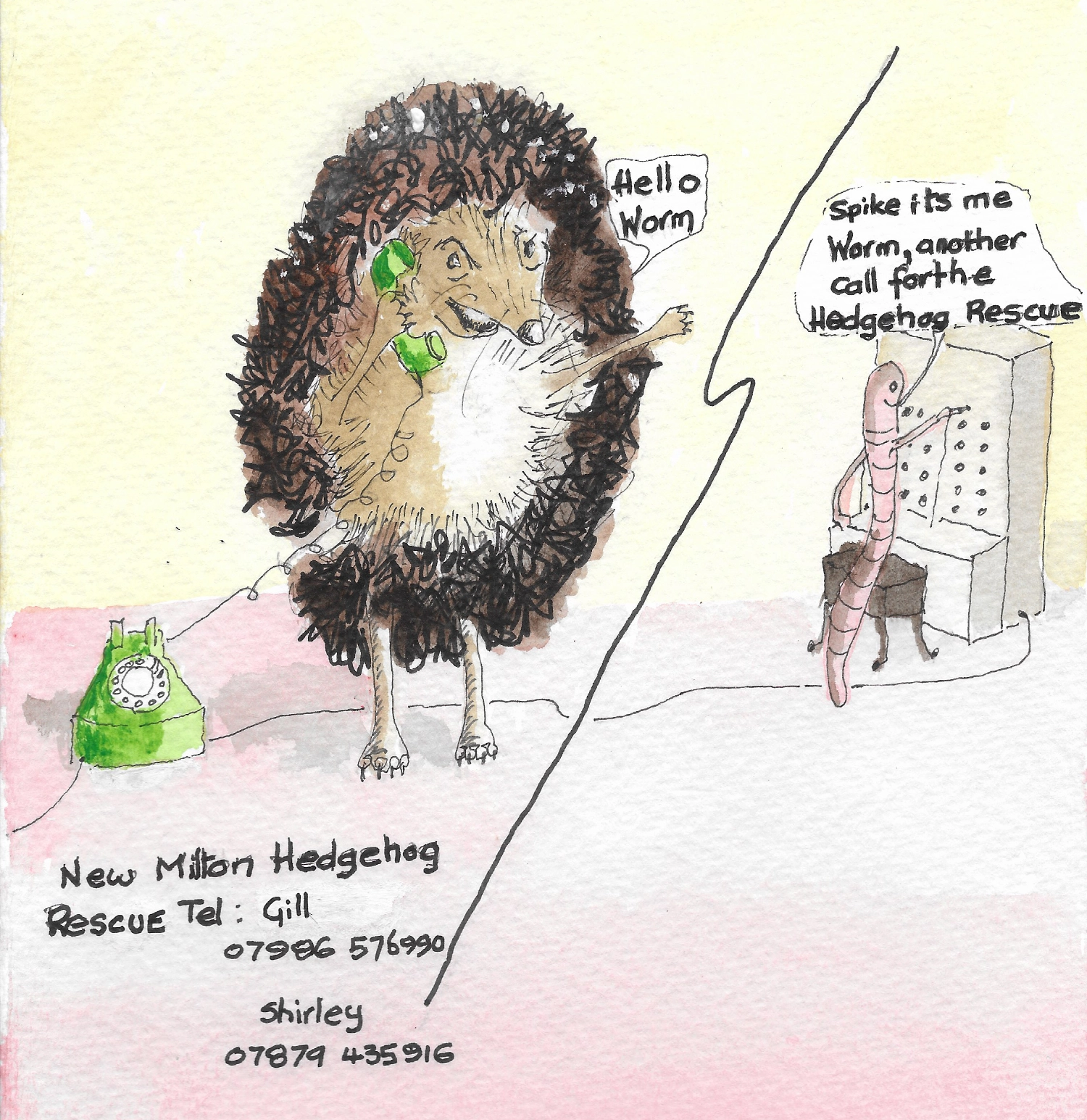 Cartoon